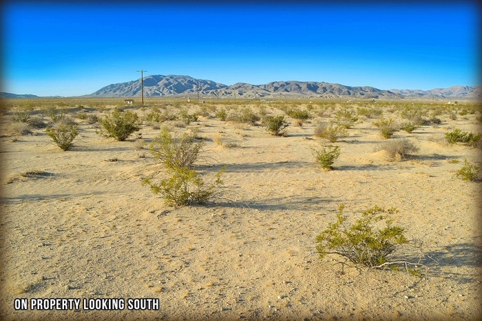 Mojave Road